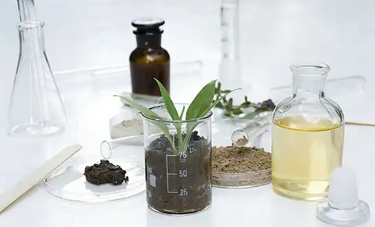 How Yeast-Derived Peptides Enhance Crop Performance？